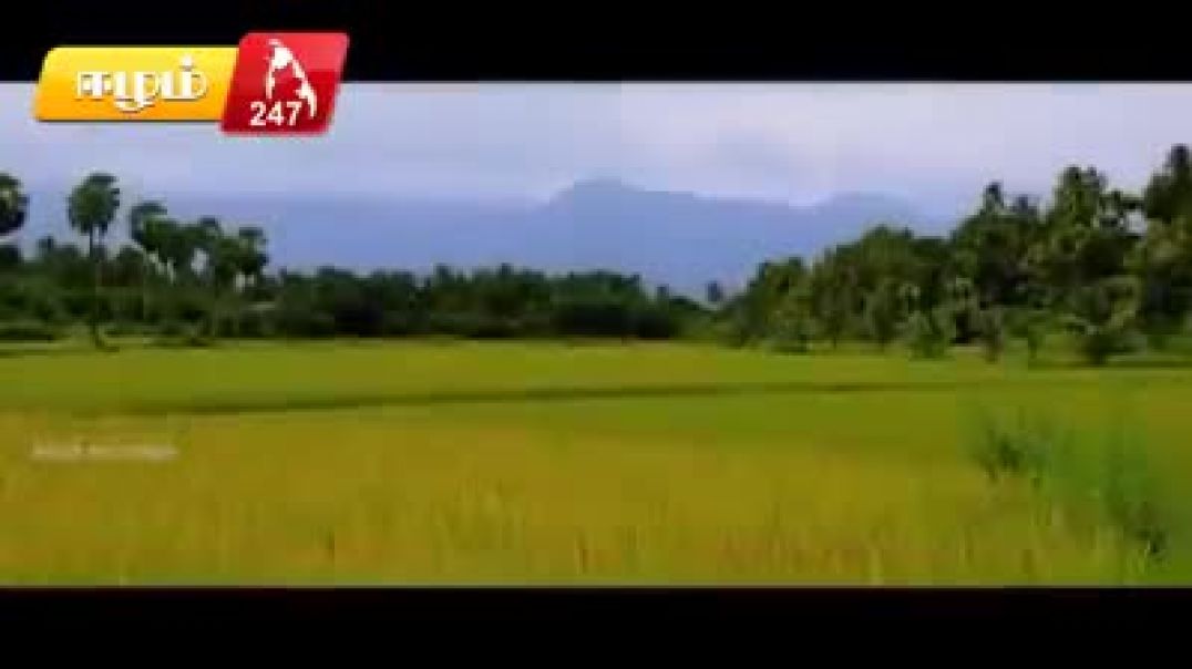 சமூக வலைத்தளங்களில் அதிரவைக்கும் தமிழ் காணொளி - Eelam TV