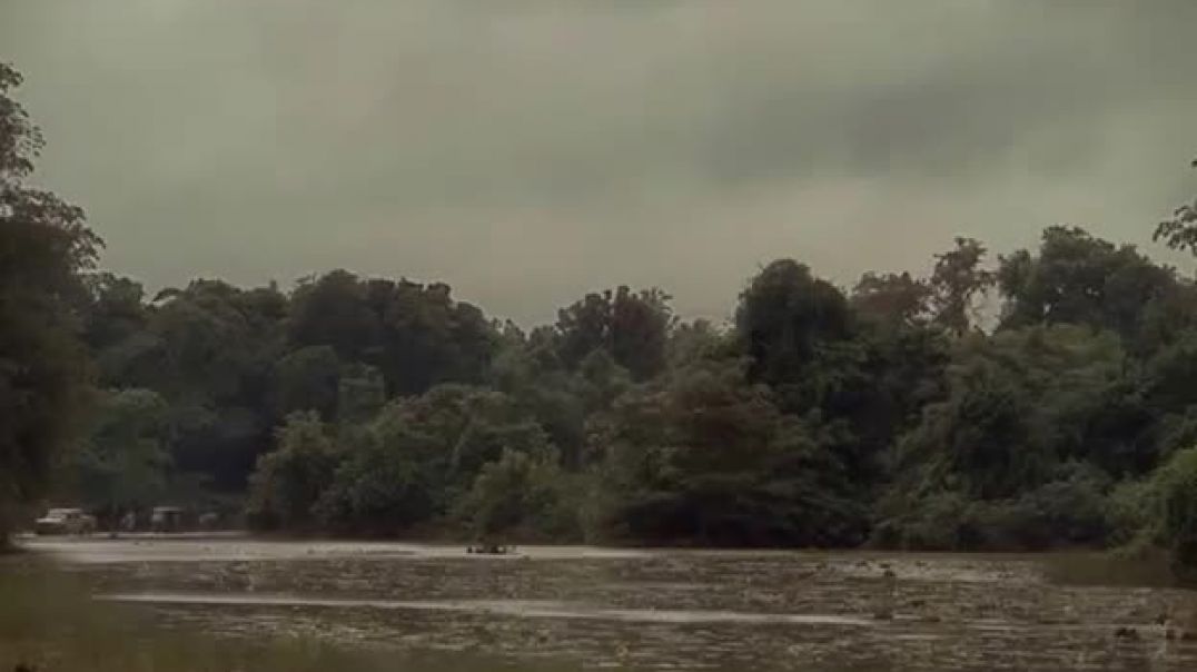 My Daughter The Terrorist