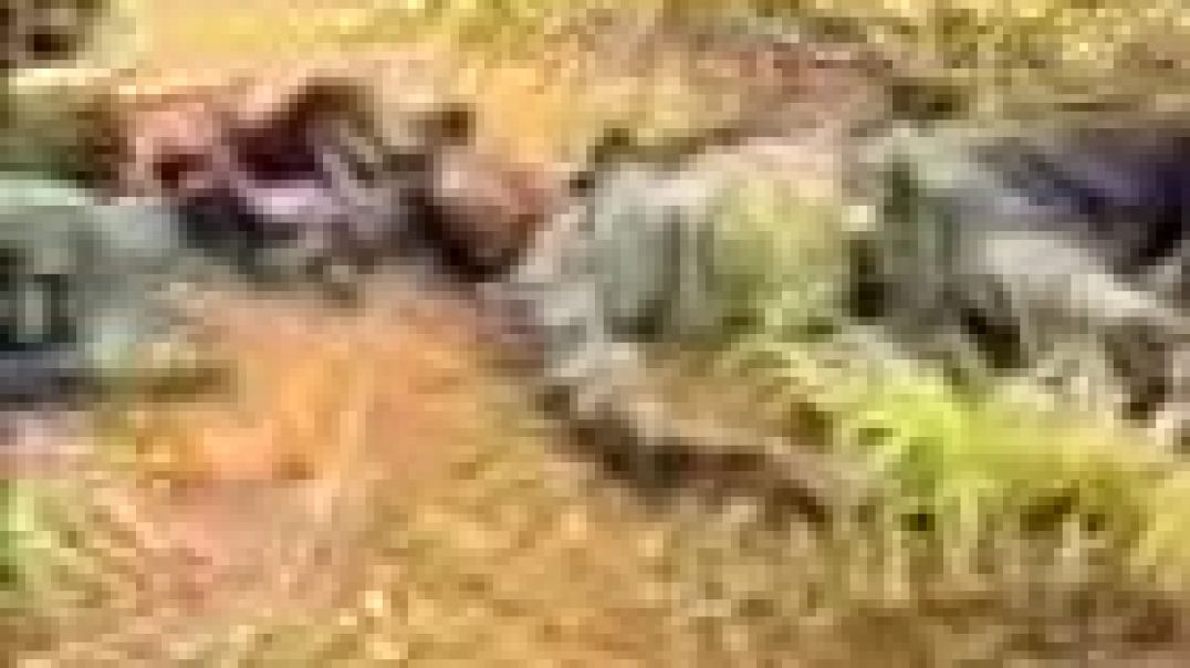 03-2009  ஒட்டுசுட்டானில் சிங்களம் மீதான பதிதாக்குதல் | Ambush on SLA at Ottusuttaan