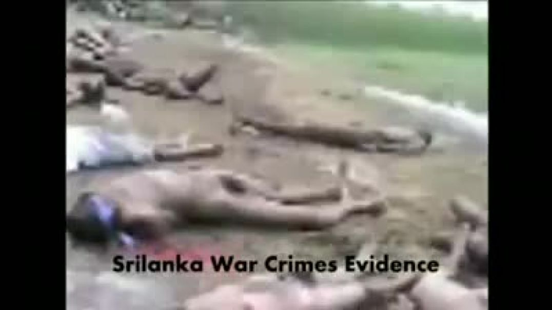Surrendered LTTE cadres massacred | Isaipriya | போர்க்குற்றம் | இசைப்பிரியா | sri lankan war crimes