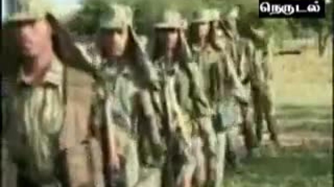 நெருடல் | தமிழீழ தனியரசு