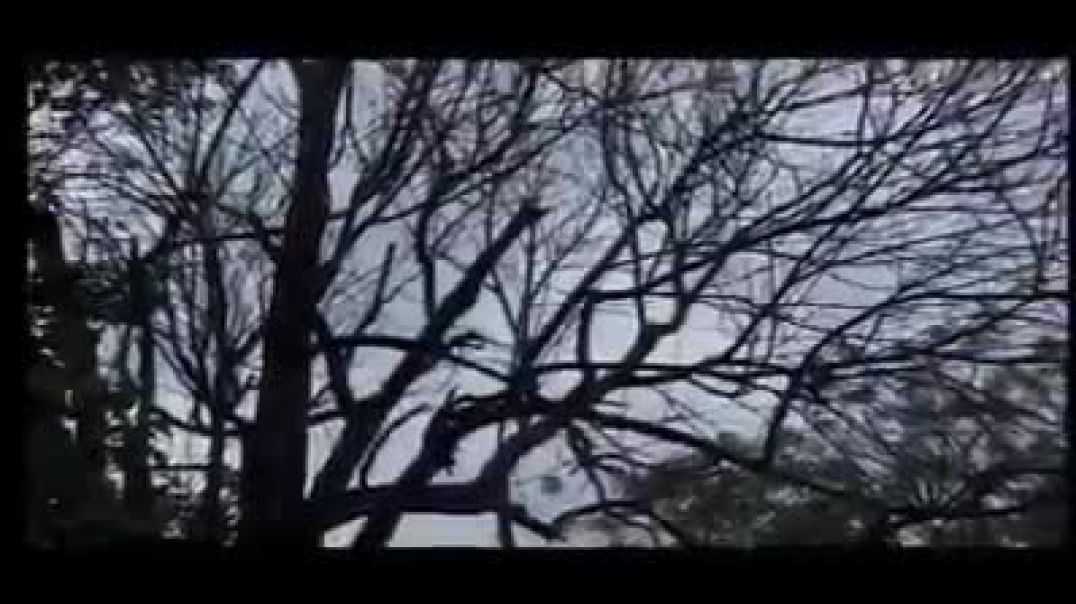இலைகள் மறந்த - ilaikal marantha- Original version