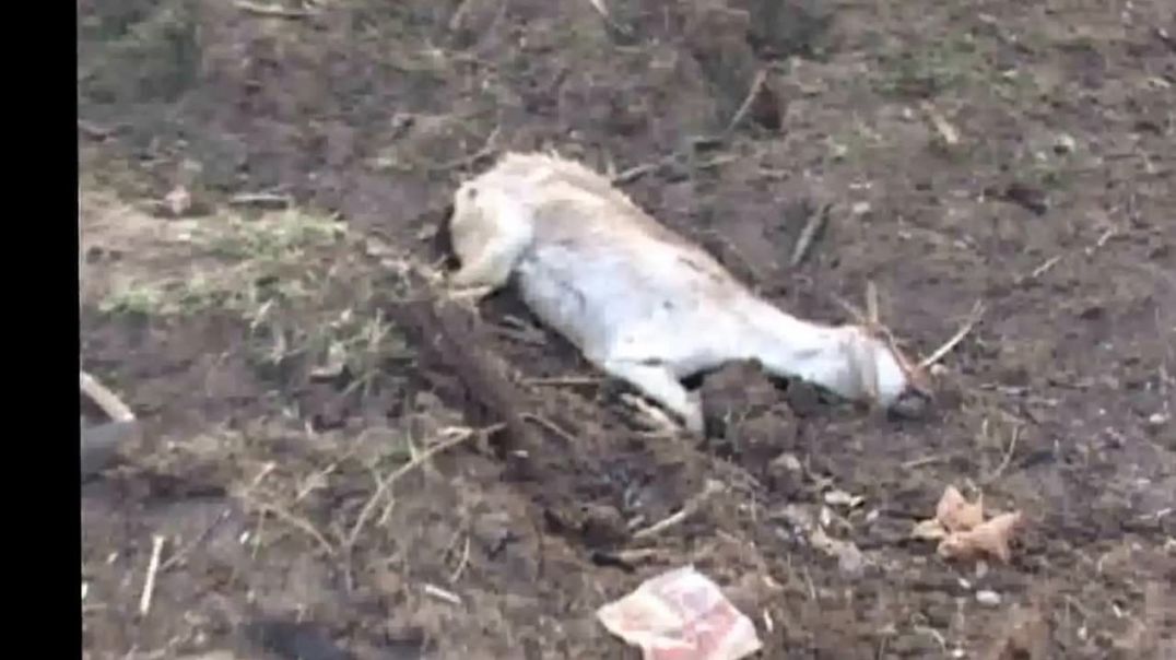 18-1-2009  SLA AIR ATTACK ⁣| Tamil genocide | mullivaikkal | இனப்படுகொலை | முள்ளிவாய்க்கால்