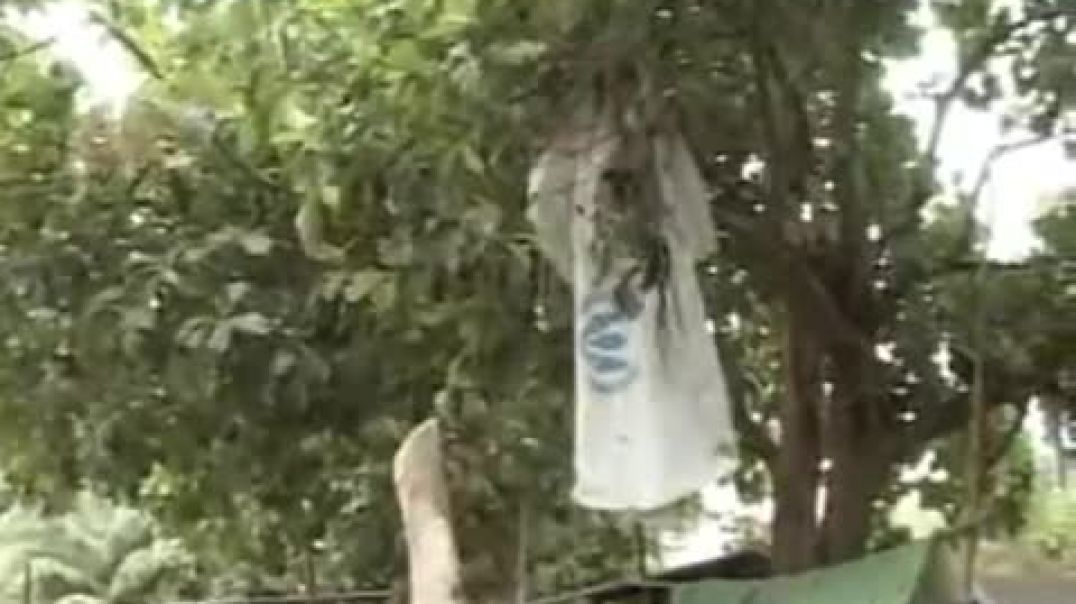 வெள்ளைக்காரன் கதைக்க கதைக்க செல் விளுகுது | இனப்படுகொலை | mullivaikkal | முள்ளிவாய்க்கால்