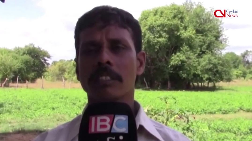 Ex-LTTE cadres ‘injected with toxic substance’ in rehabilitation