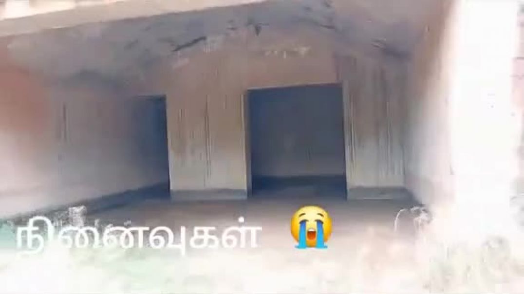 வான்புலிகளின் பறவாடி | Sky Tigers hanger | Tamil Eelam Airforce